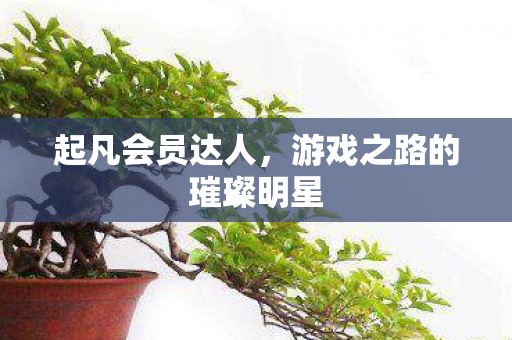 游戏之路的璀璨明星图片