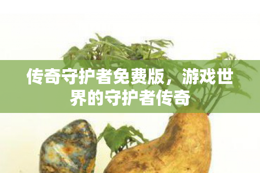 游戏世界的守护者传奇图片