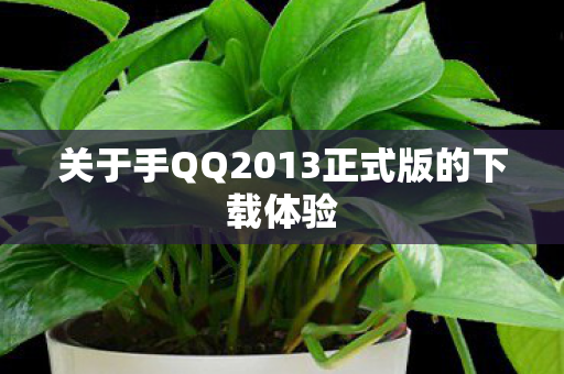 关于手QQ2013正式版的下载体验图片