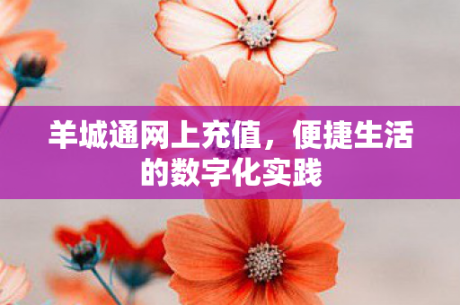 便捷生活的数字化实践图片
