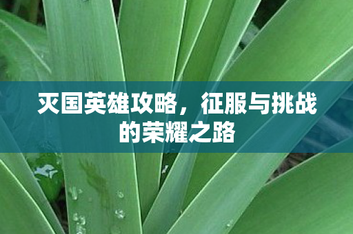 征服与挑战的荣耀之路图片