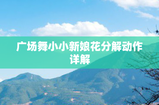 广场舞小小新娘花分解动作详解图片