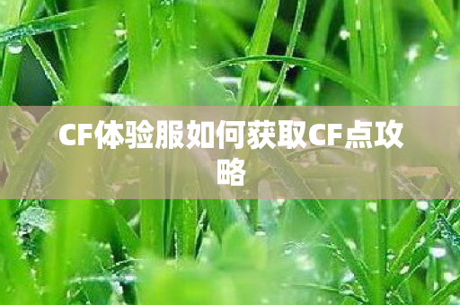 CF体验服如何获取CF点攻略图片