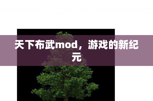 天下布武mod图片