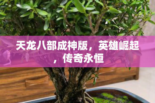 天龙八部成神版图片