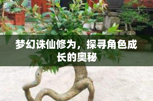 探寻角色成长的奥秘图片