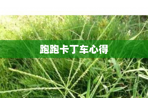 跑跑卡丁车心得图片