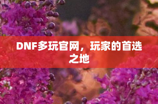 DNF多玩官网图片