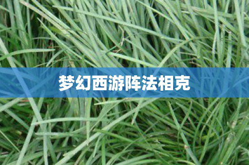 梦幻西游阵法相克图片
