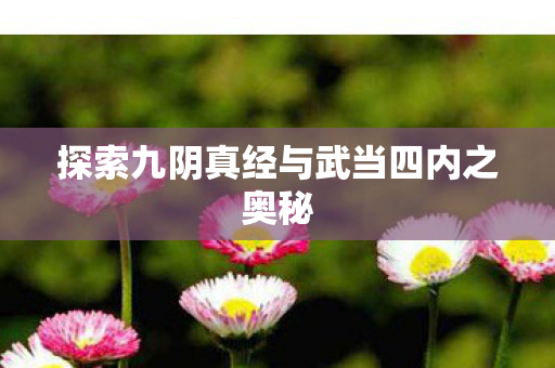 探索九阴真经与武当四内之奥秘图片