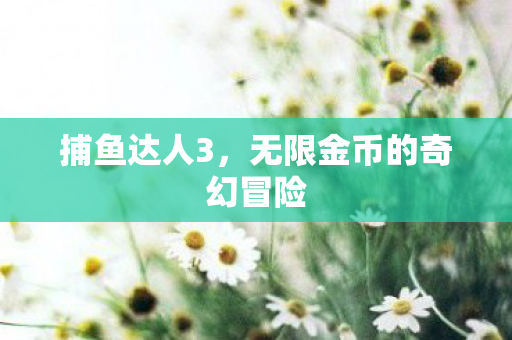 无限金币的奇幻冒险图片