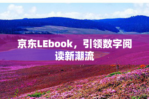 引领数字阅读新潮流图片