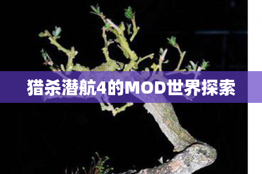 猎杀潜航4的MOD世界探索图片