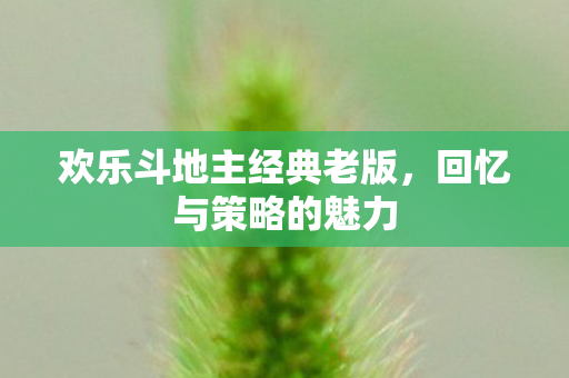 欢乐斗地主经典老版图片
