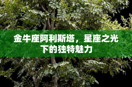 星座之光下的独特魅力图片