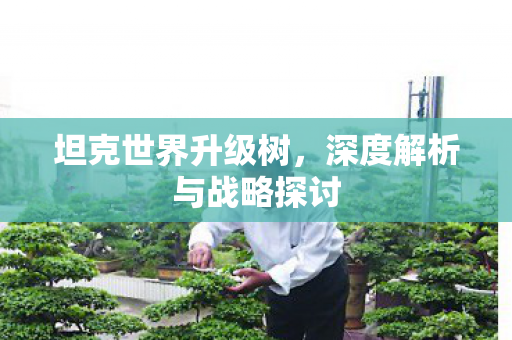 深度解析与战略探讨图片