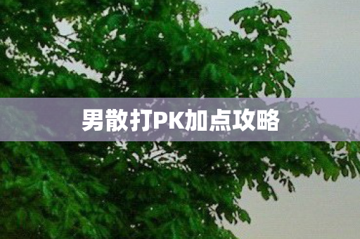男散打PK加点攻略图片