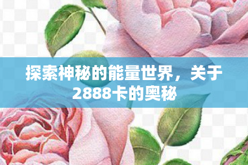 关于2888卡的奥秘图片