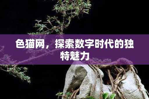 探索数字时代的独特魅力图片