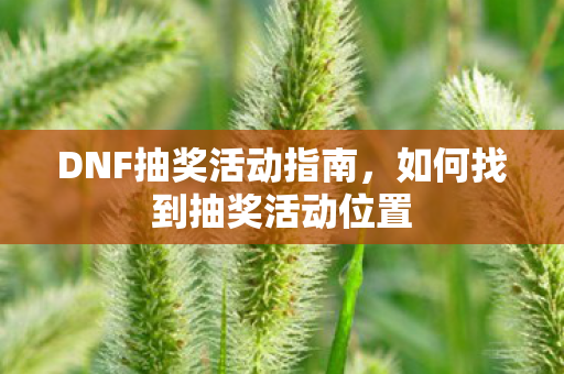 如何找到抽奖活动位置图片