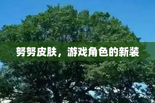 游戏角色的新装图片