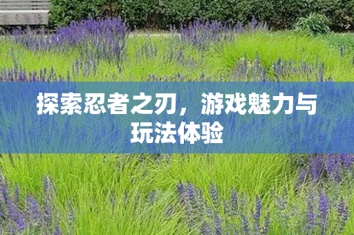 游戏魅力与玩法体验图片