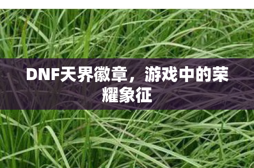 游戏中的荣耀象征图片
