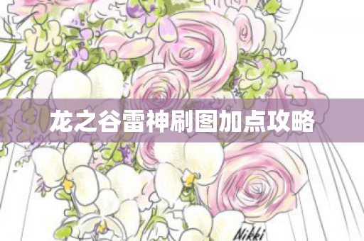 龙之谷雷神刷图加点攻略图片