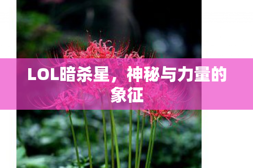 神秘与力量的象征图片