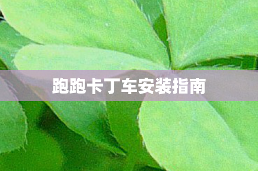 跑跑卡丁车安装指南图片