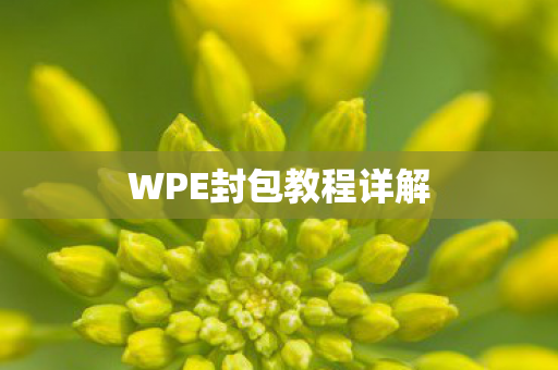 WPE封包教程详解图片
