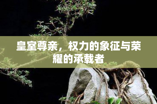 权力的象征与荣耀的承载者图片