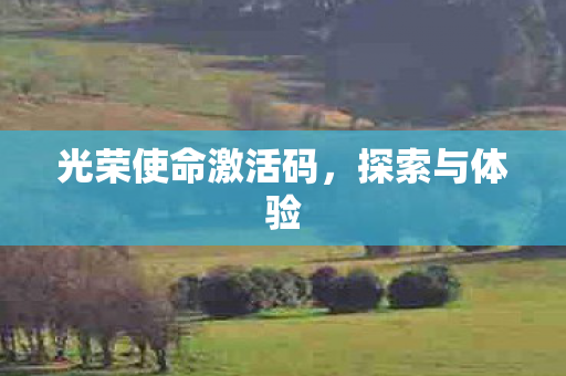 光荣使命激活码图片