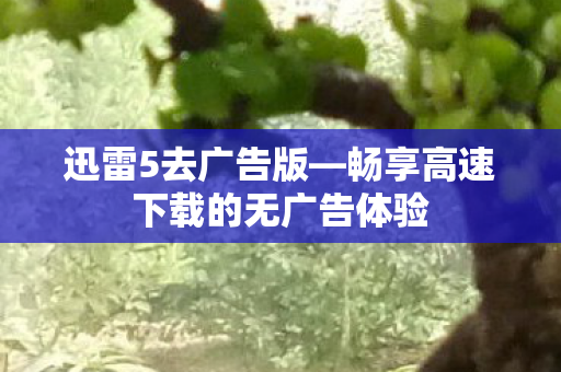 畅享高速下载的无广告体验图片