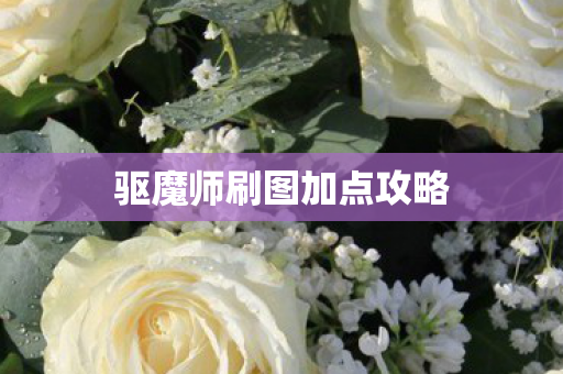 驱魔师刷图加点攻略图片