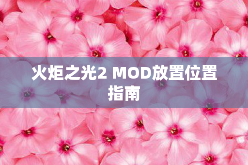 火炬之光2 MOD放置位置指南图片