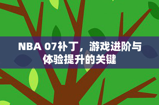 游戏进阶与体验提升的关键图片