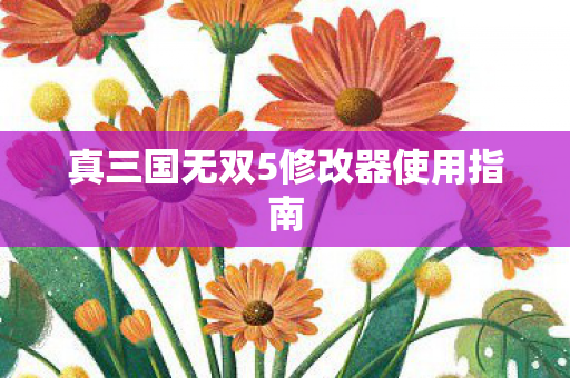 真三国无双5修改器使用指南图片