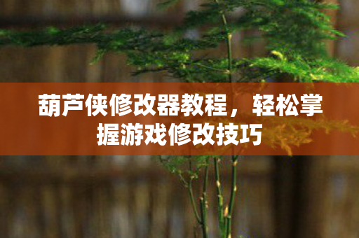 轻松掌握游戏修改技巧图片