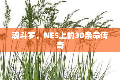 NES上的30条命传奇图片