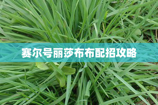 赛尔号丽莎布布配招攻略图片