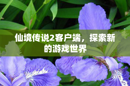 仙境传说2客户端图片
