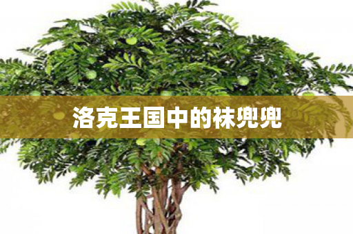 洛克王国中的袜兜兜图片