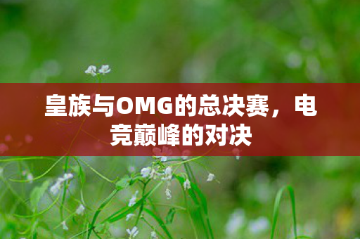 皇族与OMG的总决赛图片