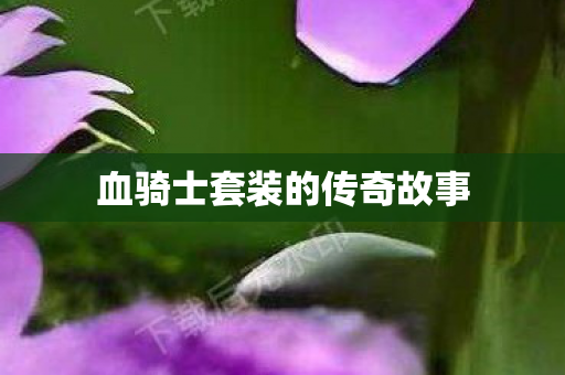 血骑士套装的传奇故事图片