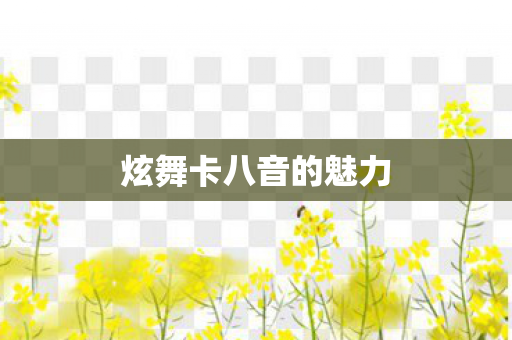 炫舞卡八音的魅力图片