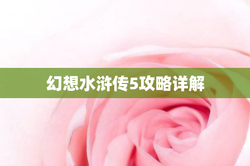 幻想水浒传5攻略详解图片