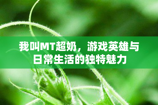 游戏英雄与日常生活的独特魅力图片