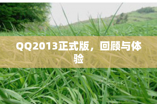QQ2013正式版图片