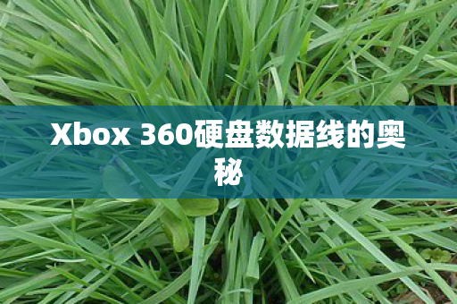 Xbox 360硬盘数据线的奥秘图片
